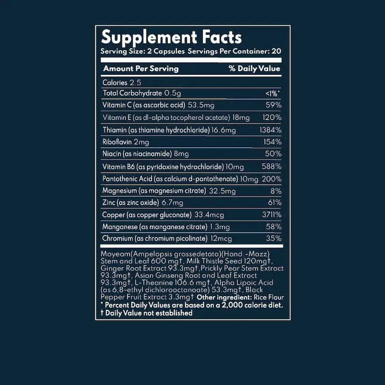 bback Holiday Survival Bundle