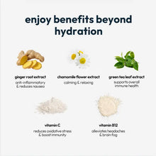 Load image into Gallery viewer, bback hydrate recovery boost (3+1 FREE box)
